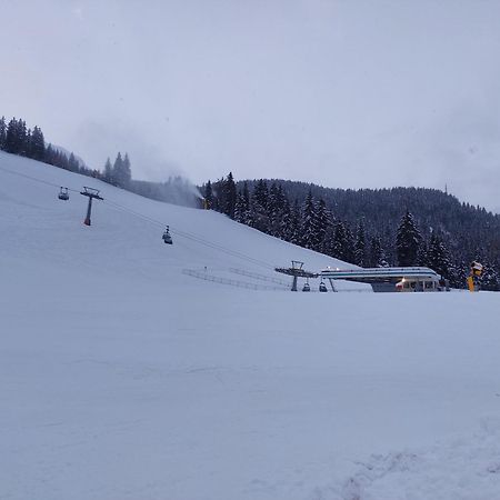 Blosegghof Bergchalets Waldblick Racines Extérieur photo