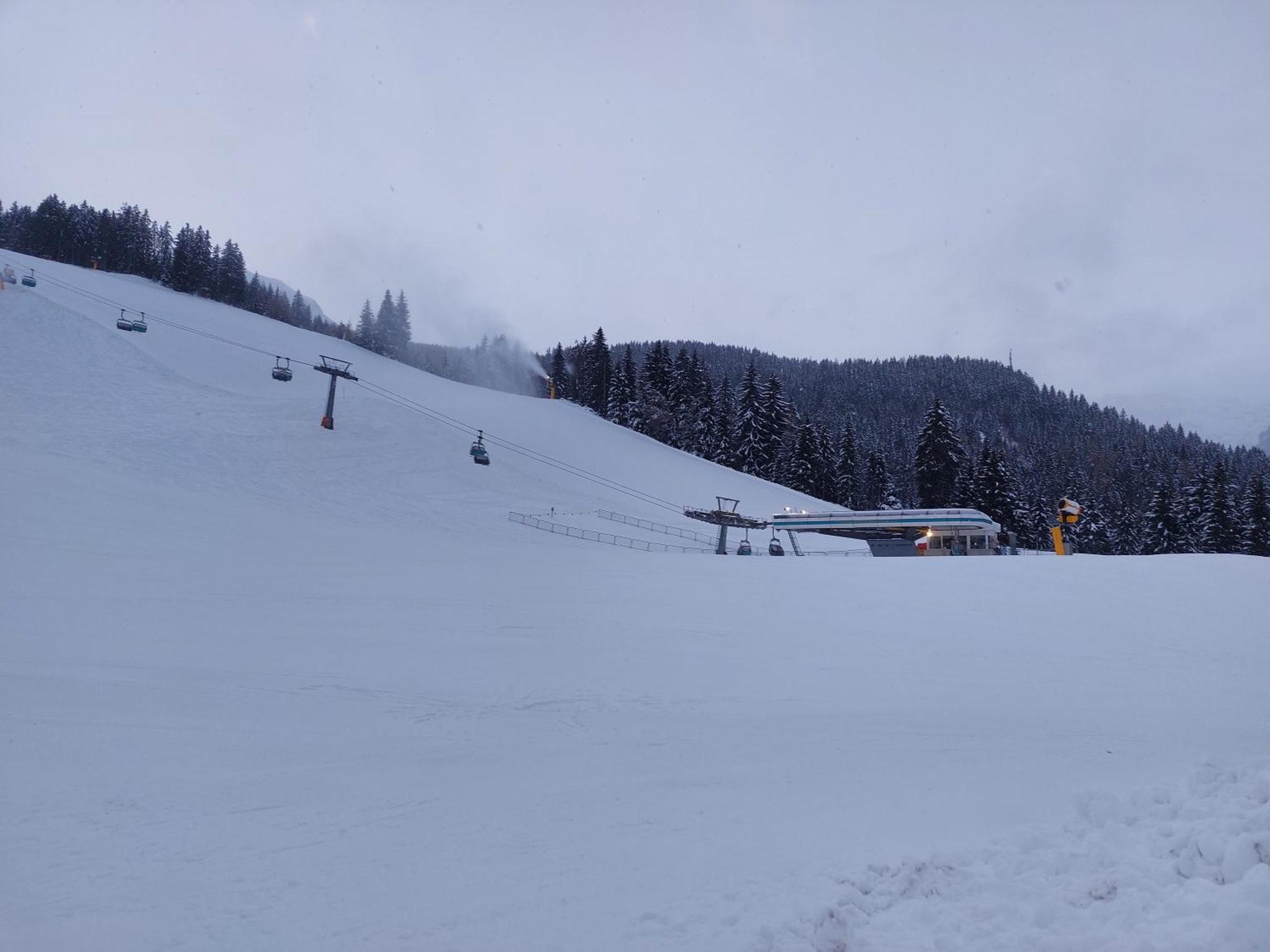 Blosegghof Bergchalets Waldblick Racines Extérieur photo